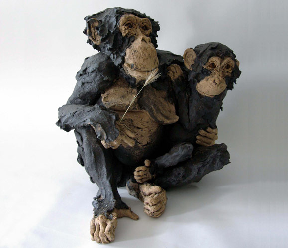 Chimps image 3