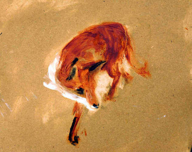 Fox drawing
