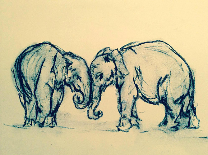 Drawings. Elephant 2016