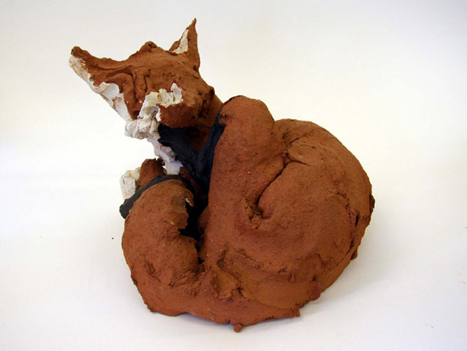 Curled Scratching fox