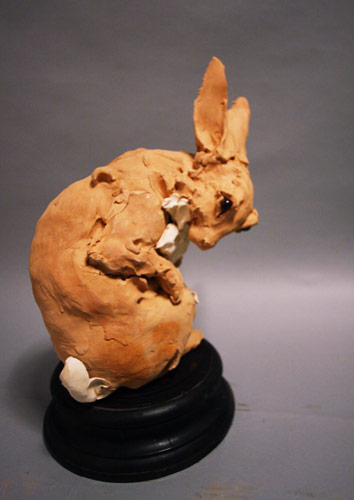 Broken Rabbit