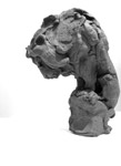 Lion maquette 2014 - Stephanie Quayle